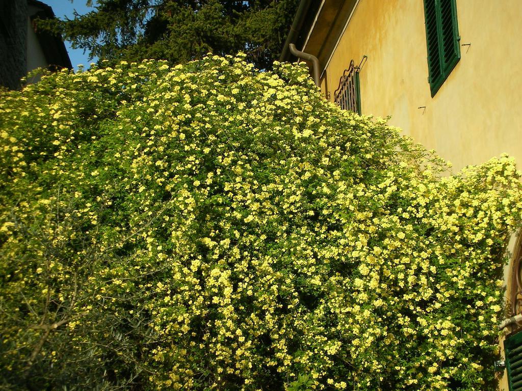 Gasthof Giolica *
