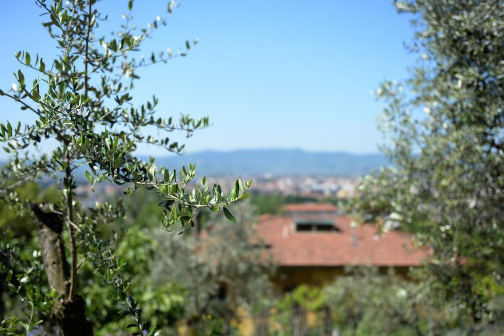 Giolica Prato (Prato)